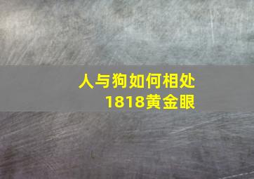 人与狗如何相处 1818黄金眼